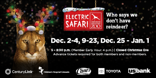 Electric Safari - Evenings of Dec. 2-4, 8-23, 25-January 1, 2023