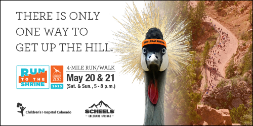 Run / Walk to the Shrine with Us, Saturday May 20 or Sunday May 21, 2023