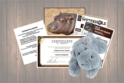 Baby Hippo "Omo"- Wild Adoption Gift Package