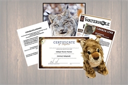 Lynx Wild Adoption Gift Package