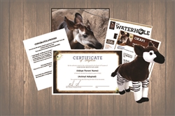 Okapi Wild Adoption Gift Package