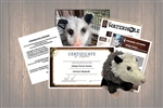 Opossum Wild Adoption Gift Package