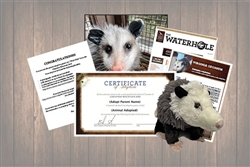 Opossum Wild Adoption Gift Package