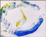 Ball Python "Panya"  Painting EdVR-51 8x10