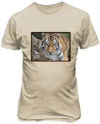 Limited-edition Tiger T-shirts