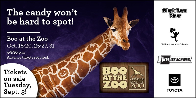 Join us for Boo at the Zoo - Evenings of October 18-20, 25-27, 31, 2024