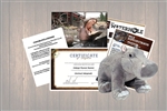 Hippo Wild Adoption Gift Package