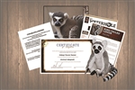 Ring-tailed Lemur Wild Adoption Gift Package