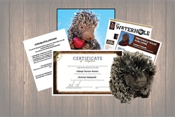 Prehensile-tailed Porcupine Wild Adoption Gift Package