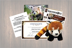 Red Panda Wild Adoption Gift Package