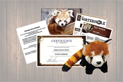 Red Panda Wild Adoption Gift Package