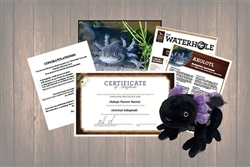 Axolotl Wild Adoption Gift Package