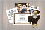 Bald Eagle Wild Adoption Gift Package