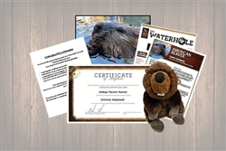Beaver Wild Adoption Gift Package