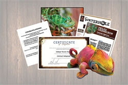 Chameleon Wild Adoption Gift Package