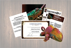 Chameleon Wild Adoption Gift Package