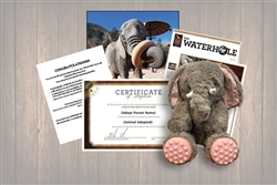 Elephant Sensory-Friendly Wild Adoption Gift Package