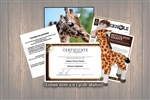 Giraffe Wild Adoption Gift Package