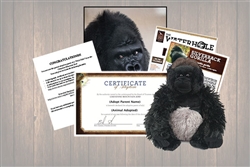 Gorilla Wild Adoption Gift Package