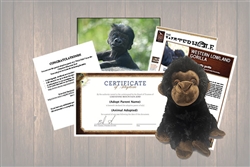 Baby Gorilla Wild Adoption Gift Package