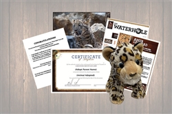 Amur Leopard  Cub Wild Adoption Gift Package
