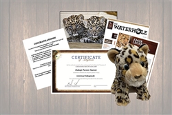 Amur Leopard Cub Wild Adoption Gift Package