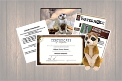 Meerkat Wild Adoption Gift Package