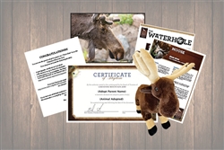 Moose Wild Adoption Gift Package