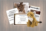 Mountain Lion Wild Adoption Gift Package