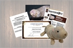 Naked Mole Rat Adoption Gift Package