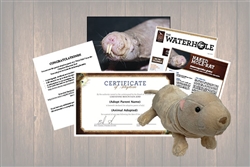 Naked Mole Rat Adoption Gift Package