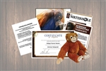 Orangutan Wild Adoption Gift Package