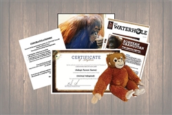 Orangutan Wild Adoption Gift Package