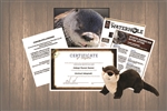 Otter Wild Adoption Gift Package