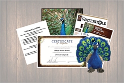 Peacock Wild Adoption Gift Package