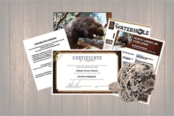 Porcupine Wild Adoption Gift Package