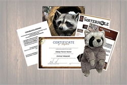 Raccoon Wild Adoption Gift Package