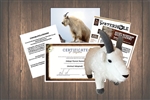 Rocky Mtn. Goat Kid Blanca - Wild Adoption Gift Package
