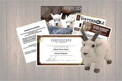 Rocky Mountain Goat - Wild Adoption Gift Package