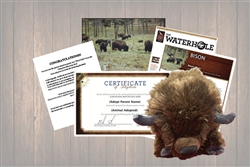 Bison Legacy Adoption Gift Package