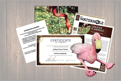 Flamingo  Legacy Adoption Gift Package