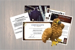Golden Eagle Legacy Adoption Gift Package
