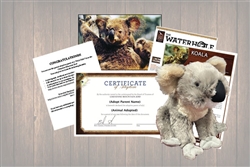 Koala  Legacy Adoption Gift Package