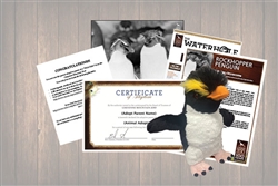 Rockhopper Penguin Legacy Adoption Gift Package