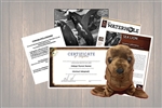 Sea Lion Legacy Adoption Gift Package