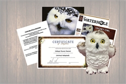 Snowy Owl Legacy Adoption Gift Package