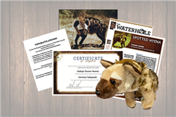 Spotted Hyena Legacy Adoption Gift Package