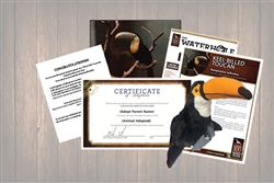 Toucan Legacy Adoption Gift Package