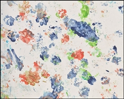 Skunks "Isabel & Her Babies," painting 3 8x10