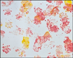 Skunk "Padfoot," painting 4 8x10